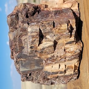 10lbs 13oz Az rainbow chunk Agatized with sparkling crystal petrified wood